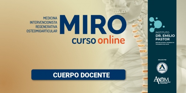 ¿Quiénes son los docentes del MIRO online?